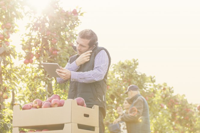 Employee in apple orchard on tablet calling company via customizable unified communications tool