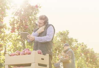 Employee in apple orchard on tablet calling company via customizable unified communications tool